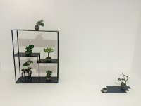 https://sites.google.com/site/tenjodo/galeries/les-arbres-de-nos-membres/eric-o/!cid_23C490E7-B693-4ACB-81E3-E075948C7A58.jpg
