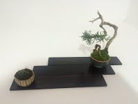 https://sites.google.com/site/tenjodo/galeries/les-arbres-de-nos-membres/eric-o/!cid_DC3E5821-FCE3-44A5-BABB-24F6F27424DC.jpg