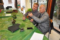 https://sites.google.com/site/tenjodo/galeries/scuola-d-arte-bonsai/cours-n/cours-n-ix/Dsc_7887.jpg