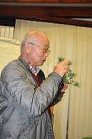 https://sites.google.com/site/tenjodo/galeries/scuola-d-arte-bonsai/cours-n/cours-n-ix/Dsc_7892.jpg