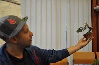 https://sites.google.com/site/tenjodo/galeries/scuola-d-arte-bonsai/cours-n/cours-n-ix/Dsc_7899.jpg