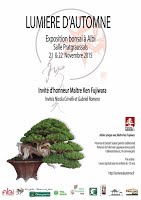 https://sites.google.com/site/tenjodo/galeries/Les-Expo-o-nous-tions/albi-2015