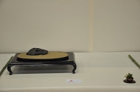 https://sites.google.com/site/tenjodo/galeries/Les-Expo-o-nous-tions/albi-2015/l-expo-bonsais/Dsc_7938.jpg