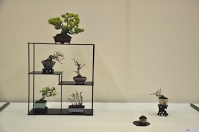 https://sites.google.com/site/tenjodo/galeries/Les-Expo-o-nous-tions/albi-2015/l-expo-shohins/Dsc_7966.jpg