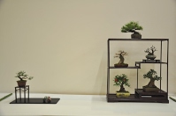https://sites.google.com/site/tenjodo/galeries/Les-Expo-o-nous-tions/albi-2015/l-expo-shohins/Dsc_7967.jpg