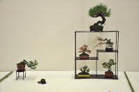 https://sites.google.com/site/tenjodo/galeries/Les-Expo-o-nous-tions/albi-2015/l-expo-shohins/Dsc_7974.jpg