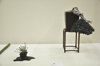 https://sites.google.com/site/tenjodo/galeries/Les-Expo-o-nous-tions/albi-2015/l-expo-shohins/Dsc_7977.jpg