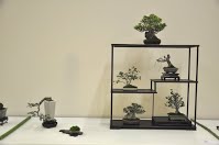 https://sites.google.com/site/tenjodo/galeries/Les-Expo-o-nous-tions/albi-2015/l-expo-shohins/Dsc_7985.jpg