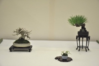 https://sites.google.com/site/tenjodo/galeries/Les-Expo-o-nous-tions/albi-2015/l-expo-shohins/Dsc_7986.jpg