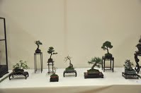 https://sites.google.com/site/tenjodo/galeries/Les-Expo-o-nous-tions/albi-2015/l-expo-shohins/Dsc_8001.jpg