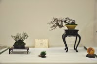 https://sites.google.com/site/tenjodo/galeries/Les-Expo-o-nous-tions/albi-2015/l-expo-shohins/Dsc_8112.jpg