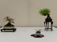 https://sites.google.com/site/tenjodo/galeries/Les-Expo-o-nous-tions/albi-2015/nos-arbres/12244626_1226346380728034_5362819020991555576_o.jpg