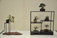 https://sites.google.com/site/tenjodo/galeries/Les-Expo-o-nous-tions/albi-2015/nos-arbres/Dsc_7980.jpg