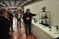 https://sites.google.com/site/tenjodo/galeries/Les-Expo-o-nous-tions/albi-2015/nos-arbres/Dsc_8147.jpg