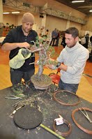 https://sites.google.com/site/tenjodo/galeries/Les-Expo-o-nous-tions/albi-2015/nos-arbres/Dsc_8151.jpg
