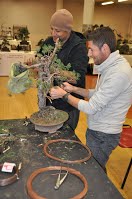 https://sites.google.com/site/tenjodo/galeries/Les-Expo-o-nous-tions/albi-2015/nos-arbres/Dsc_8152.jpg?attredirects=0