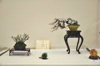 https://sites.google.com/site/tenjodo/galeries/Les-Expo-o-nous-tions/albi-2015/nos-arbres-primes/Dsc_8112.jpg