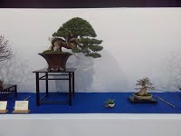 https://sites.google.com/site/tenjodo/galeries/Les-Expo-o-nous-tions/noelanders-trophy-xvii/IMG_20160124_085716.jpg