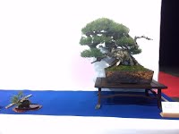 https://sites.google.com/site/tenjodo/galeries/Les-Expo-o-nous-tions/noelanders-trophy-xvii/IMG_20160124_090623.jpg?attredirects=0