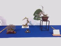 https://sites.google.com/site/tenjodo/galeries/Les-Expo-o-nous-tions/noelanders-trophy-xvii/IMG_20160124_090751.jpg?attredirects=0