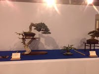 https://sites.google.com/site/tenjodo/galeries/Les-Expo-o-nous-tions/noelanders-trophy-xvii/IMG_20160124_092419.jpg