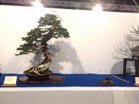 https://sites.google.com/site/tenjodo/galeries/Les-Expo-o-nous-tions/noelanders-trophy-xvii/IMG_20160124_092952.jpg?attredirects=0