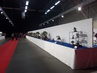https://sites.google.com/site/tenjodo/galeries/Les-Expo-o-nous-tions/noelanders-trophy-xvii/IMG_20160124_174113.jpg?attredirects=0