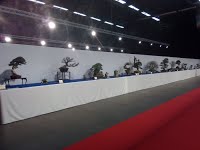 https://sites.google.com/site/tenjodo/galeries/Les-Expo-o-nous-tions/noelanders-trophy-xvii/IMG_20160124_174127.jpg?attredirects=0