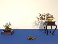 https://sites.google.com/site/tenjodo/galeries/Les-Expo-o-nous-tions/noelanders-trophy-xvii/IMG-20160125-WA0002.jpg