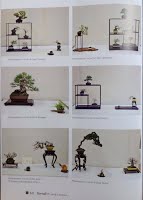 https://sites.google.com/site/tenjodo/galeries/bonsai-italia-n-109/BI1094.jpg
