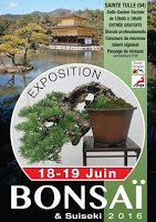 https://sites.google.com/site/tenjodo/galeries/Les-Expo-o-nous-tions/st-tulle-2016