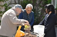 https://sites.google.com/site/tenjodo/galeries/scuola-d-arte-bonsai/ando-avril-2016/Dsc_9145.jpg