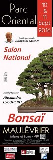 https://sites.google.com/site/tenjodo/galeries/Les-Expo-o-nous-tions/maulevrier-2016