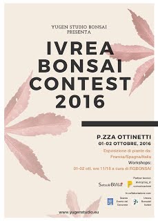 https://sites.google.com/site/tenjodo/galeries/Les-Expo-o-nous-tions/ivrea-bonsai-context-2016
