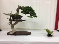 https://sites.google.com/site/tenjodo/galeries/Les-Expo-o-nous-tions/maulevrier-2016/14222123_10208719148350222_4722202715749707252_n.jpg