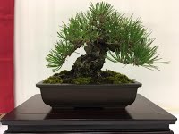 https://sites.google.com/site/tenjodo/galeries/Les-Expo-o-nous-tions/maulevrier-2016/14238172_10208710956105421_2721559000128836826_n.jpg