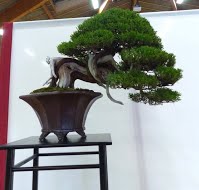 https://sites.google.com/site/tenjodo/galeries/Les-Expo-o-nous-tions/maulevrier-2016/14265031_10153863834306629_3106142019043547055_n.jpg