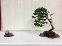 https://sites.google.com/site/tenjodo/galeries/Les-Expo-o-nous-tions/maulevrier-2016/14292302_10208719691403798_7502441311448730744_n.jpg
